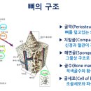 이건치과기공소 이미지