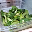[시흥/배곧] 미제마라탕 | 새로생긴 마라탕 맛집