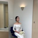 더뉴라인(The New Line) | 본식 드레스 피팅 후기 / PETAL, WHITE APRICOT, ROSY, CREAM MIKADO, HALTER A-LINE, DIANA, VIVIAN, ANNA