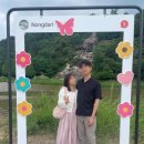 초평호 미르309출렁다리 찾아가는 법 (등산로 1시간 30분 코스 미르전망대 방문 후기, 전망 등 꿀팁)