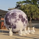 수원화성 | 260501(금) 수원화성행궁 후기: 야간개장vs주간 비교 + 정보(주차, 입장료 등)