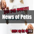 페티즈(petis) | Petis :: 쮸TV 와 페티즈의 재밌는 만남, 페티즈박스 파헤치기!