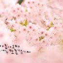 오늘 또 캘리 이미지