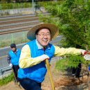 순천 나무숲 이미지