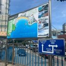 암남동 주민센터 앞 횡단보도 이미지