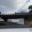 애견하우스 | 양평 애견동반 카페 하우스베이커리 후기