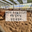 고려축산2농장 | 깨끗한 축산농장(CLF) 인증 절차 및 총정리