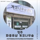수곡로 | <충북 청주> 청주파충류샵 게코나무숲 크레스티드게코 분양 후기