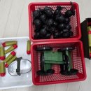 신나라어린이집 이미지