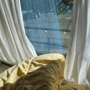 신우수영장 | 경남 사천 숙소 비토섬 신우리조트 글램핑 앤 카라반