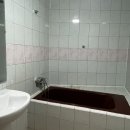 천지연로 이미지