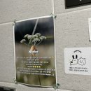 “12월이에요” ep.1ㅣ울산 신정동 내돈내산 눈썹 문신 추천, 엄마랑 같이 💗 &lt;백뷰티끄&gt;