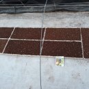 스마일2 농장 이미지