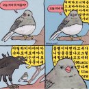 달리는마차 이미지