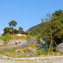 성불산자연휴양림 캠핑장 이미지