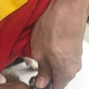 광교호수 동물병원 이미지