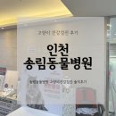송림동물병원 | 인천동물병원/송림동물병원 인천고양이병원 고양이건강검진 고양이IBD 고양이진료 솔직말많은후기