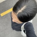 명승참새와방앗간