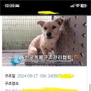 뚱베 이미지