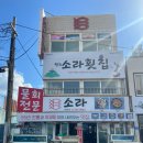 원조소라횟집 | [제주도민맛집_탑동] 서부두 명품 횟집거리 ‘소라횟집’ — 점심 매운탕 추천