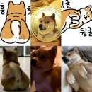 위너크린 이미지