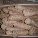 우리들 농장 이미지