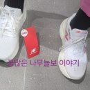 V-14 네이버블로그