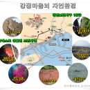 (주)중덕건설 | 청동기 유물이 나와도 제주해군기지 건설은 계속된다?