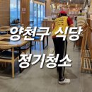 돌핀크린 이미지