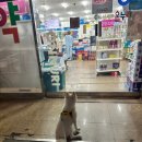 우리아빠약국 이미지