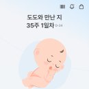 금호분소 | 35주 차 임산부 성동구 보건소 정부 지원 산후도우미 바우처 신청 (Feat. 산후도우미 업체 선정)