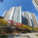 광안자이부동산중개사무소 이미지