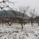 대월농장 이미지