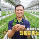 행운녹즙 이미지