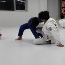 무 주짓수 아카데미 검단당하동 이미지