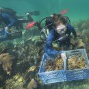 산호메디컬 이미지