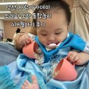 국시아지매 | 양산 문화센터 자람아카데미 오레아오감통합놀이 후기(4개월아기/양산 문센/청용띠아기)