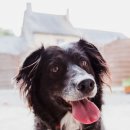 원 종합동물병원 이미지