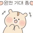 임진강 햇살 글램핑 이미지