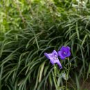 여주-0925 이미지