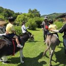 해누리어린이집 이미지