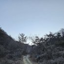 산골텃밭소식. 오늘도 걷는다만은 걸으면 좋은일 생기는데. 이미지