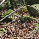 뉴라온다이어트캠프 이미지