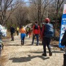 여수 영취산 510m ㅡ진달래 산행 ㅡ진달래 축제장 산행 시작 ㅡ가마봉 ㅡ영취산 정상 ㅡ흥국사 하산 ㅡ 이미지