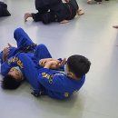 본주짓수킥복싱