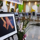 하남사진작가협회 회원전 이미지