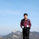라이네쎄 이미지