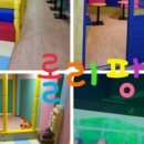 롤리팡 이미지