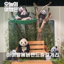 바오하우스 | 용인 아이랑 에버랜드 판다 바오 패밀리 바오 하우스 관람 후기
