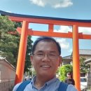 숲이야기 이미지